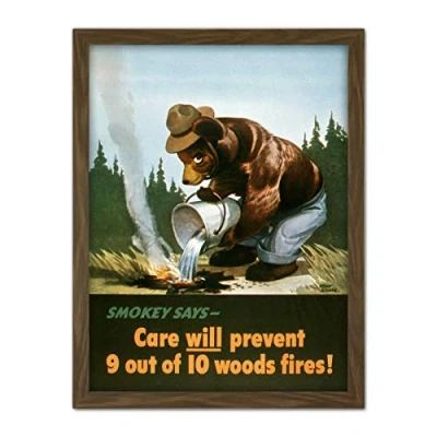 Image of War WWII USA Smokey Bear Prevent Forest Fires Advert Artwork Framed Wall Art Print 18X24 Inch