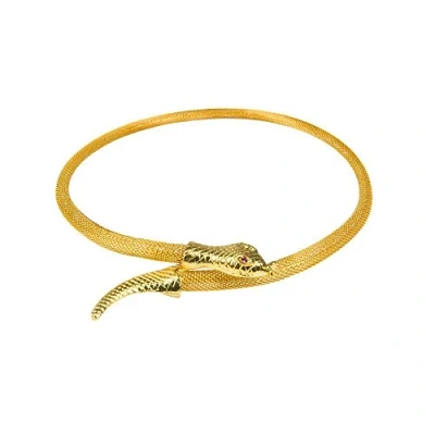 Image of Boland Bol64330 Golden Nile Snake Choker for Adult, multi coloured