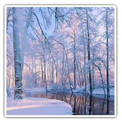 Image of Square Stickers (Set of 2) 10cm Snowy Forest Winter Christmas Laptop Tablet Luggage Scrapbook #12205