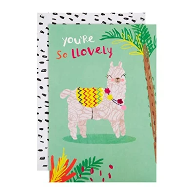 Image of Hallmark Any Occasion Card Contemporary Quirky Llama Design