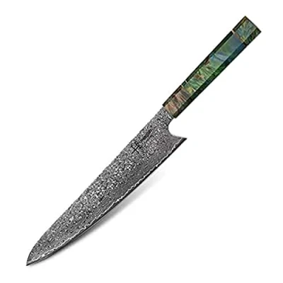 Image of hajegato Damascus Chef Knife Gyuto Unique One of Kind Handle Professional 10 inch Japanese Chefs Kitchen VG10, 67 Layers Steel Knive