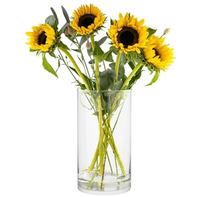 Image of TREND for HOME Floor Tall Vase H: 29 cm Glass Vases Flowers Clear Cylinder Pampas Grass Large Round Standing Ø 15.9 4800 ml Magnolia