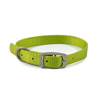 Image of Ancol Viva Lightweight Buckle Collar Lime, Size 2 to Fit 26 31 cm, Weather Proof