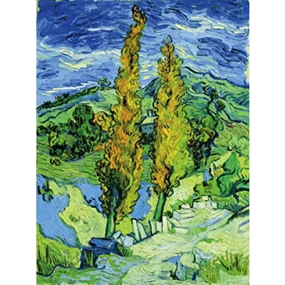 Image of liziciti 5D Diamond Painting Kits Van Gogh for Adults, 30x40cm Art Full Drill Canvas Picture DIY Wall Decor (Plant)