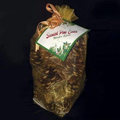 Image of The Milford Collection Scented Pine Cones Gold Organza Bag Winter Spice 500g