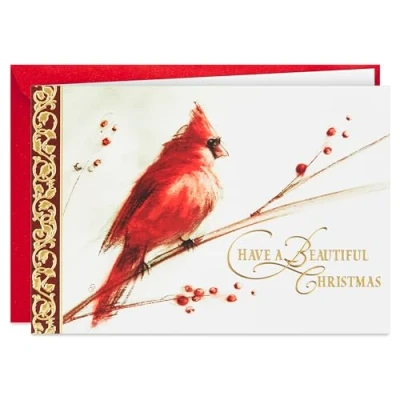 Image of Hallmark Boxed Christmas Cards, Painted Cardinal (40 Cards and 40 Envelopes) Beautiful