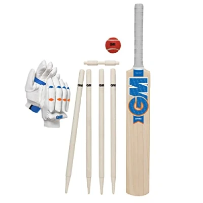 Image of Gunn and Moore GM Young Wooden Cricket Bat Stumps Set
