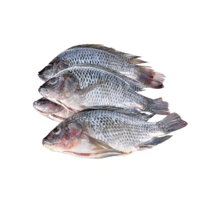 Image of Frozen Gutted and Scaled Black Tilapia 2.5kg x 2 Packs