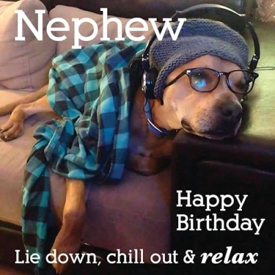 Image of Nephew Birthday Card Funny/Humorous Dog Design Lie Down, Chill Out &amp; Relax Made in the UK Eco Friendly