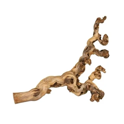 Image of Trixie Sand Blasted Grape vine, 5 Pieces