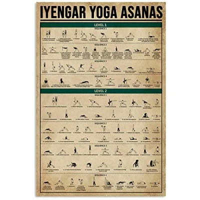 Image of TNND Iyengar Yoga Asanas 2 Levels Poster Wall Decor Gift For Lover Art Metal Sign 8x12 inches