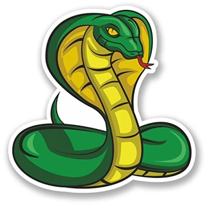 Image of 2 x 10cm Snake Vinyl Sticker Bike Laptop Helmet Car Quad Guitar Decal #5547 (10cm 10cm)