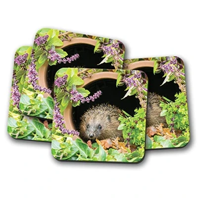 Image of 4 Set Cute Hedgehog Coaster Flowers Garden Wildlife Nature #14340
