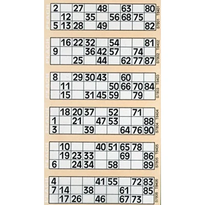 Image of Thomas &amp; Anca Club Supplies Ltd 6000 6 to View Bingo Flyers Tickets (Peach)