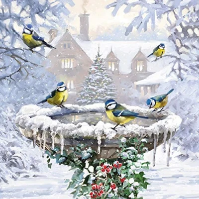 Image of Pack of 10 Charity Christmas Cards (PH CHPT0082) Winter Birdbath 1 Design From Paper House