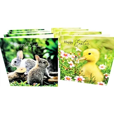 Image of 8 Happy Easter Cards with Envelopes (Bunny Rabbit and Chick)