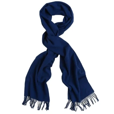 Image of GANT Mens Wool Scarf (College Blue)