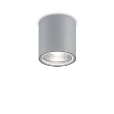 Image of Gun 1 Light Round Surface Mounted Downlight Grey IP44