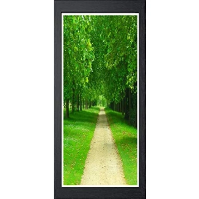 Image of Black Photo Frames Picture Poster Real Wood Modern Frame 500mm x 250mm