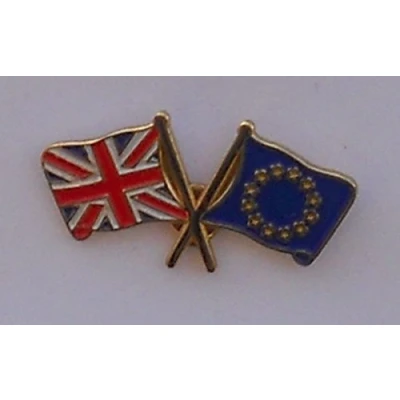 Image of MadAboutFlags Great Britain GB Union Jack and Europe EU European Friendship Flag Pin Badge