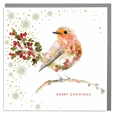 Image of Lola Design Wildlife Wonderful Christmas Cards Blank and Envelopes Robin