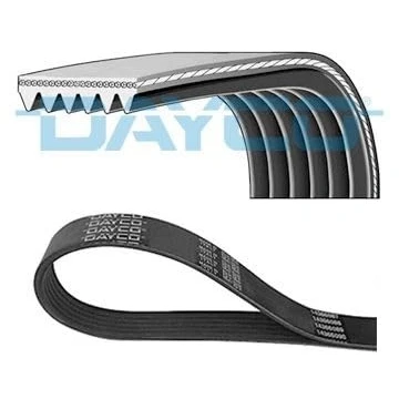 Image of 6x1675 V ribbed belt DAYCO 6PK1675HD 1675,0mm 6