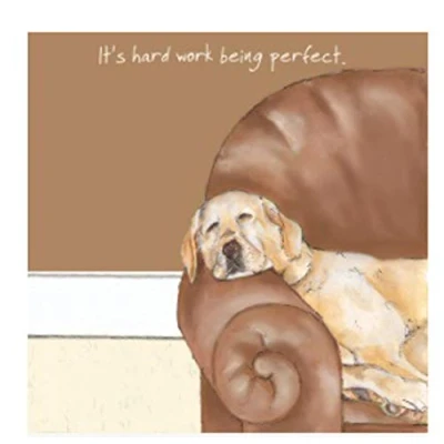 Image of Golden Labrador dog Birthday Card BLANK for any occasion PERFECT