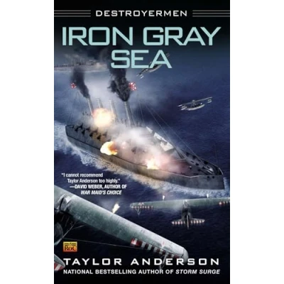 Image of Iron Gray Sea: Destroyermen: 7