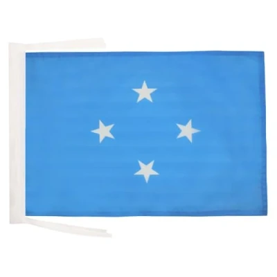 Image of AZ Flag Micronesia 18&#039;&#039; x 12&#039;&#039; 100% Polyester Micronesian Small Banner with Two Cords Fade Resistant Vivid Colors 18x12 in 45x30 Cm