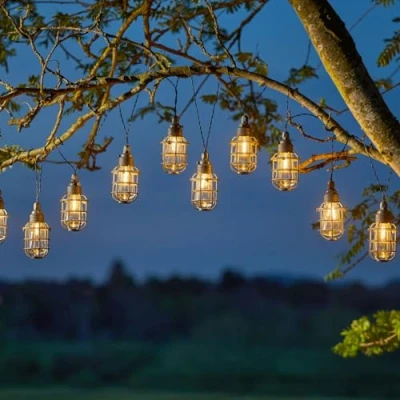 Image of Smart Garden 365 Solar 10 Anglia String Lights 20L