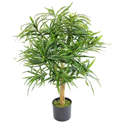Image of Leaf Artificial Ficus Tree/Plant, Wood, Green Dracaena, 100cm