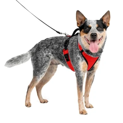 Image of PetSafe EasySport Harness, Walking Harness for Dogs, Adjustable, Padded, Medium Red