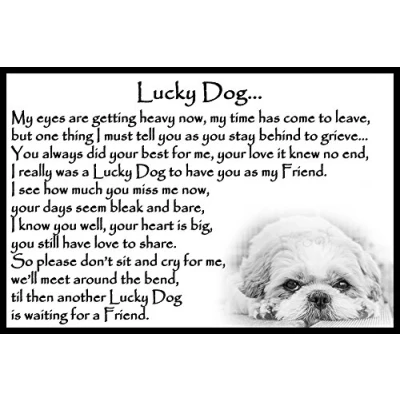 Image of Shih Tzu Memorial Dog bereavement pet loss Flexible Fridge Magnet Lucky