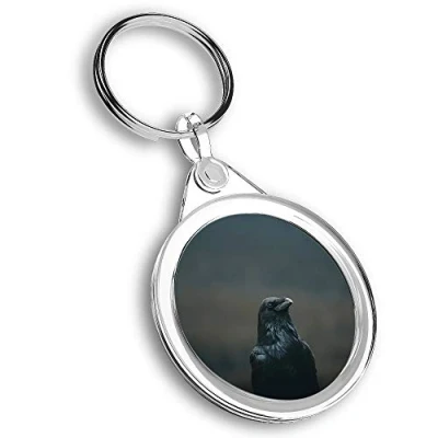 Image of Destination Vinyl ltd 1 x Photo Keyring Crow Blackbird Raven Black Bird KeychainKeyringCharm #44745