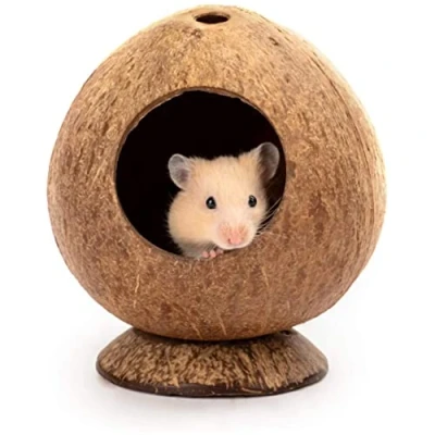 Image of Coconut Hut Hamster House Bed for Gerbils Mice Small Animal Cage Habitat Decor
