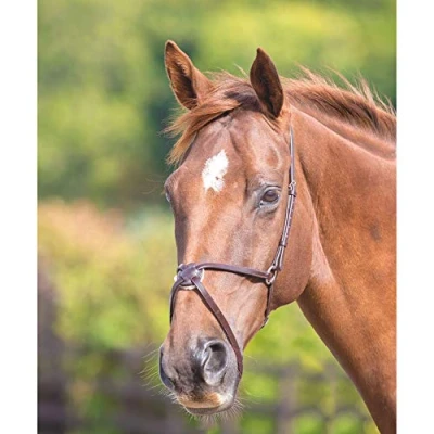Image of Shires Blenheim Mexican Noseband Cob Havana