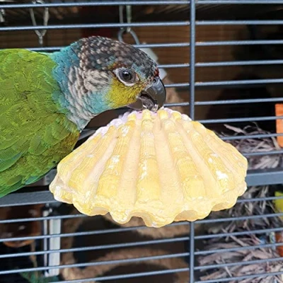 Image of Northern Parrots Edible Calcium Clam Parrot Perch Small Budgies