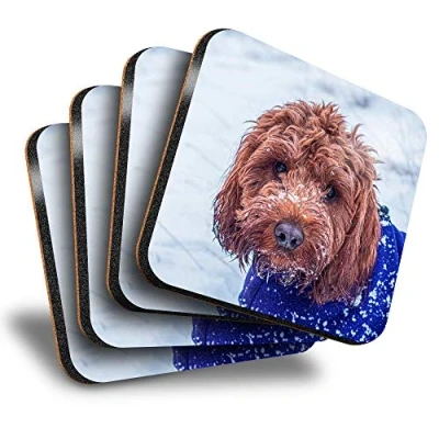 Image of Destination Vinyl ltd Great Coasters (Set of 4) Square Cockapoo Dog Puppy Labradoodle Drink Glossy Coasters/Tabletop Protection for Any Table Type #44632