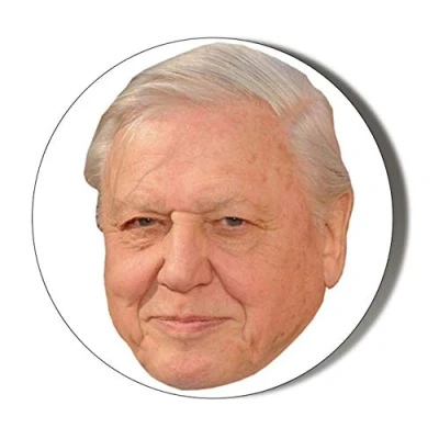 Image of Gift Insanity SIR DAVID ATTENBOROUGH FACE Large 58mm Round Fridge Magnet