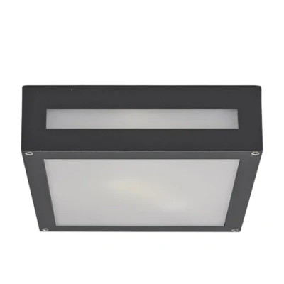 Image of Ceiling Light Outdoor &#039;Nerea&#039; (Modern) in Black Made of Aluminium (1 Source, E27) from Lucande