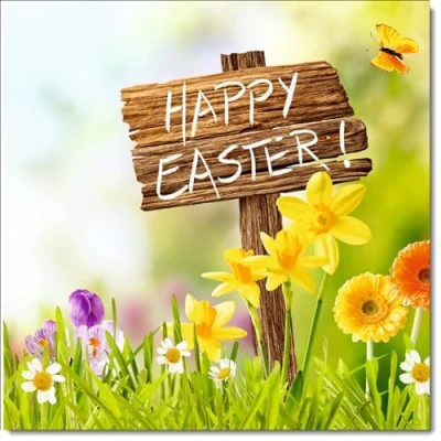 Image of doodlecards Pack of 8 Easter Cards Happy Sign, Standard Square