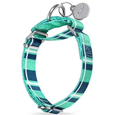 Image of Dazzber Martingale Collars for Dogs Soft Adjustable Dog Collar, Durable D ring Heavy Duty, Choke Collar Large Medium Small (Large, Teal Plaid)