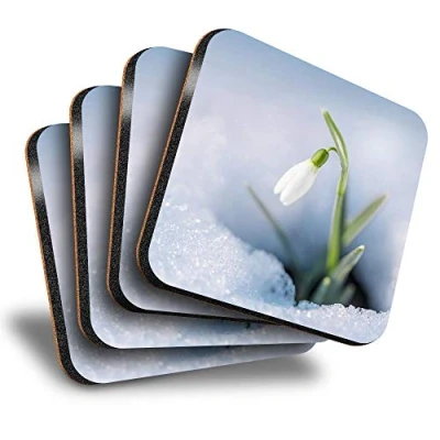 Image of Destination Vinyl ltd Great Coasters (Set of 4) Square Pretty Snowdrop Flower Drink Glossy Coasters/Tabletop Protection for Any Table Type #2063