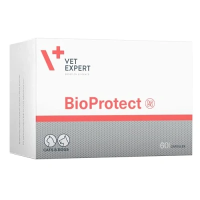 Image of Vet Expert Advanced Probiotics Supplement for Dogs and Cats, 60 Capsules, Promotes Optimal Gastrointestinal Health with Live Cultures, Prebiotics, Fibre