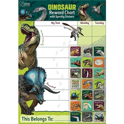 Image of Paper Projects 01.70.30.027 Natural History Museum Dinosaurs Reward Includes 56 Sparkly Stickers Colourful Chart is Wipe Clean, 29.7cm x 42cm