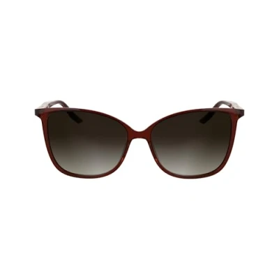 Image of Calvin Klein Woman CK25504S 605 Sunglasses Bio inject Bordeaux Butterfly Normal