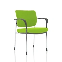 Image of Brunswick Deluxe Chrome Frame Bespoke Back Seat Green With Arms