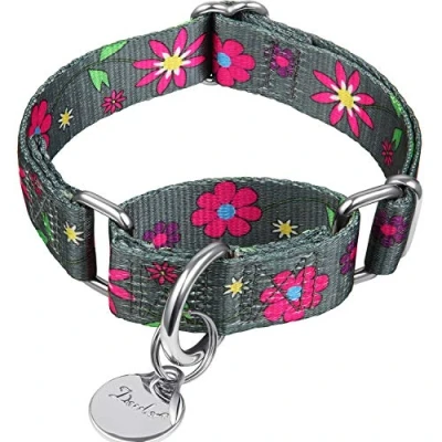 Image of Dazzber Martingale Collars for Dogs Soft Adjustable Dog Collar, Durable D ring Heavy Duty, Choke Collar Large Medium Small (large, Graphite Grey)