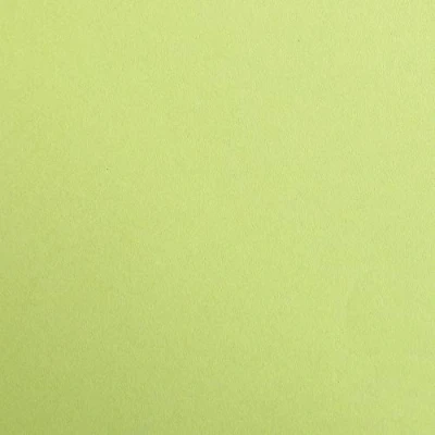 Image of Clairefontaine Ref 397252C Maya Coloured Smooth Drawing Paper (Pack of 125 Sheets) 270gsm 50 x 70cm Moss Green Colour Deep Dyed, Acid Free, pH Neutral