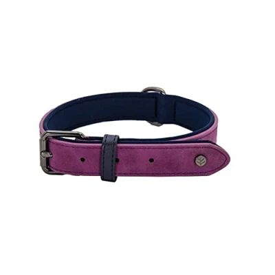 Image of Sotnos Aquatech Brights Dog Collar, Raspberry, L
